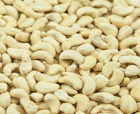 CASHEW NUT W450